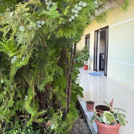 Villa Quiet Room, Close To Airport Kamez