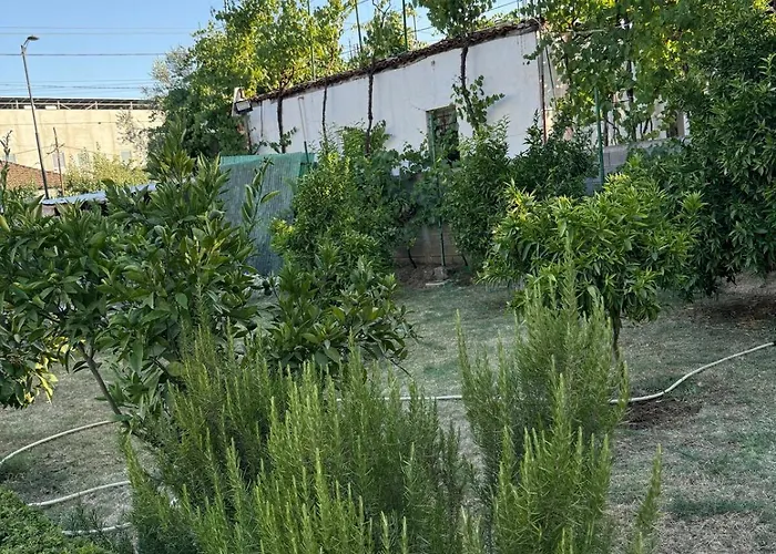 Quiet Room, Close To Airport *